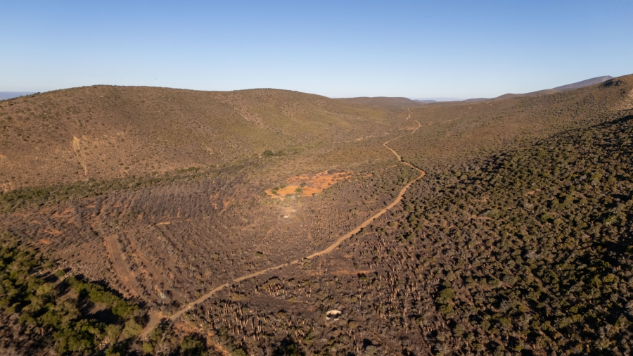 5 Bedroom Property for Sale in Uitenhage Rural Eastern Cape